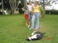 Fotos de perros